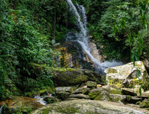 Voices of Care: Mrs. Genevieve’s Transformation