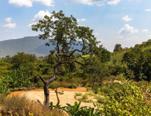 Voices of Care: Modestus’ Journey from Training to Career