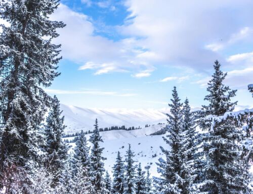 Regulatory Reset for 2026: Why Culture, Outcomes, and Compliance Are Now Inseparable—and How Guide Path Can Be Your Compliance Partner