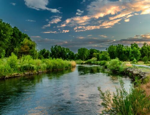 The Senior Living Risk and Culture Health Check: A Year-End Checklist to Prepare for 2026