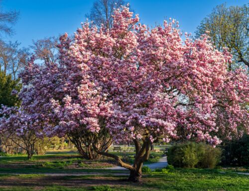 Why Communication Breakdowns Are Rarely About Communication