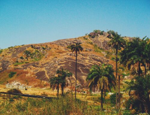 Wisdom in Action: Celebrating Global Caregiving, Strategic Partnerships, and the Voices of Care Campaign