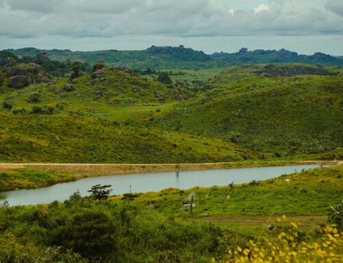 Voices of Care: Chinwe Ibuzo’s Experience